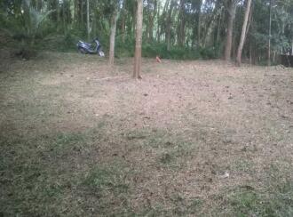 Residential Land for Sale in Trivandrum, Kazhakoottam, Kazhakkoottam