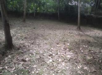 Residential Land for Sale in Trivandrum, Kazhakoottam, Kazhakkoottam