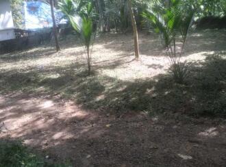Residential Land for Sale in Trivandrum, Kazhakoottam, Kazhakkoottam