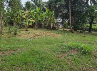 Residential Land for Sale in Thrissur, Guruvayur, Mullassery, Between padoor junction and mullassery.