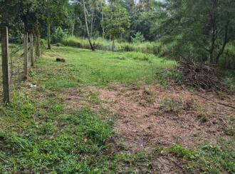 Residential Land for Sale in Thrissur, Guruvayur, Mullassery, Between padoor junction and mullassery.