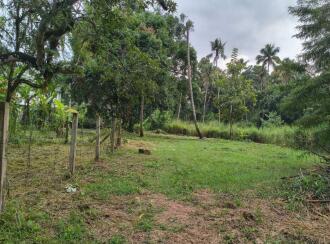 Residential Land for Sale in Thrissur, Guruvayur, Mullassery, Between padoor junction and mullassery.