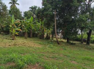 Residential Land for Sale in Thrissur, Guruvayur, Mullassery, Between padoor junction and mullassery.