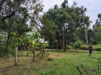 Residential Land for Sale in Thrissur, Guruvayur, Mullassery, Between padoor junction and mullassery.