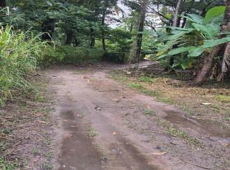 Residential Land for Sale in Thrissur, Guruvayur, Mullassery, Between padoor junction and mullassery.