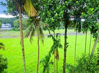 Residential House Villa for Sale in Ernakulam, Kanjiramattom, Arayankavu, Thottara