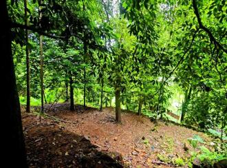 Residential House Villa for Sale in Ernakulam, Kanjiramattom, Arayankavu, Thottara