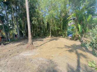 Residential Land for Sale in Ernakulam, Paravur, Kedamangalam, Kedamangalam