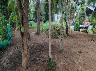 Residential Land for Sale in Alleppey, Mavelikara, Cherukole, Ayyappan Koil Street