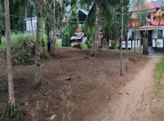 Residential Land for Sale in Alleppey, Mavelikara, Cherukole, Ayyappan Koil Street