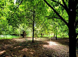 Residential Land for Sale in Ernakulam, Kalady, Kalady, Thannipuzha