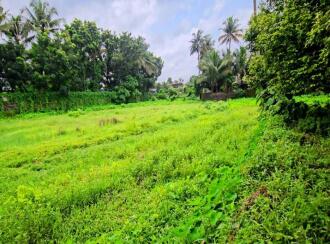 Residential Land for Sale in Ernakulam, Kalady, Kalady, Thannipuzha
