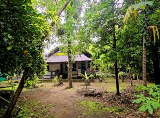 Residential Land for Sale in Ernakulam, Kalady, Kalady, Thannipuzha