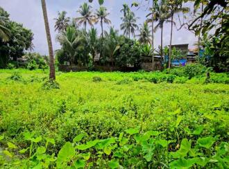 Residential Land for Sale in Ernakulam, Kalady, Kalady, Thannipuzha