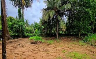 Residential Land for Sale in Pathanamthitta, Thiruvalla, Kattukara