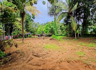 Residential Land for Sale in Pathanamthitta, Thiruvalla, Kattukara