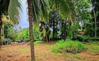 Residential Land for Sale in Pathanamthitta, Thiruvalla, Kattukara