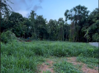 Residential Land for Sale in Thrissur, Thalappilly, Manappady, Close to Sree Ramaswamy Temple.