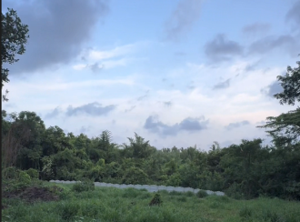 Residential Land for Sale in Thrissur, Thalappilly, Manappady, Close to Sree Ramaswamy Temple.