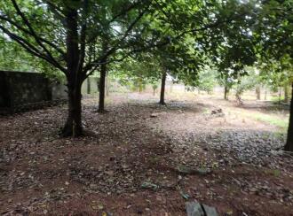Residential Land for Sale in Ernakulam, Aluva, Malayattoor, chakku keti kavala