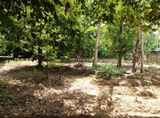 Residential Land for Sale in Ernakulam, Aluva, Malayattoor, chakku keti kavala