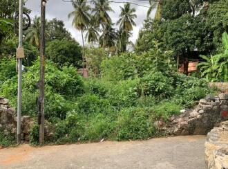 Residential Land for Sale in Palakkad, Palakkad, Palakkad town, New Civil Nagar Road