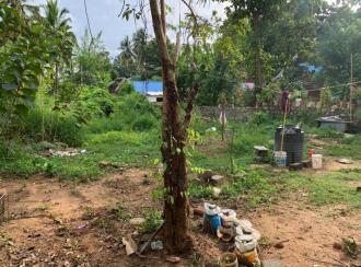 Residential Land for Sale in Palakkad, Palakkad, Palakkad town, New Civil Nagar Road