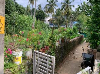 Residential Land for Sale in Palakkad, Palakkad, Palakkad town, New Civil Nagar Road
