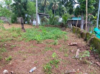Residential Land for Sale in Kollam, Punalur, Thalikode