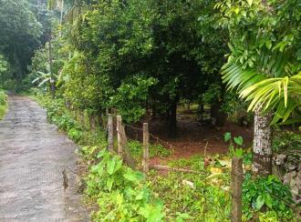 Agricultural Land for Sale in Thrissur, Chalakudy, Meloor, Pushpagiri, RBC Bund Road, Meloor (near Chalakudy),