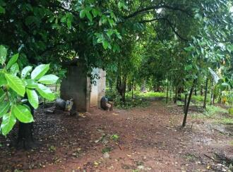 Agricultural Land for Sale in Thrissur, Chalakudy, Meloor, Pushpagiri, RBC Bund Road, Meloor (near Chalakudy),