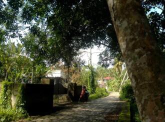 Residential Land for Sale in Trivandrum, Kazhakoottam, Karamoodu, keezhavoor road