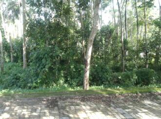 Residential Land for Sale in Trivandrum, Kazhakoottam, Karamoodu, keezhavoor road