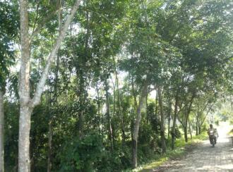 Residential Land for Sale in Trivandrum, Kazhakoottam, Karamoodu, keezhavoor road