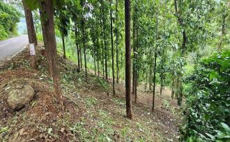 Residential Land for Sale in Kottayam, Mundakayam, Mundakayam, Mundakayam-Koottickal-Vagamon road