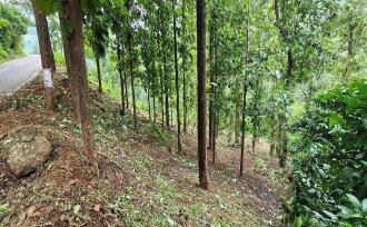 Residential Land for Sale in Kottayam, Mundakayam, Mundakayam, Mundakayam-Koottickal-Vagamon road
