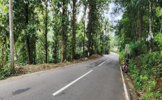 Residential Land for Sale in Kottayam, Mundakayam, Mundakayam, Mundakayam-Koottickal-Vagamon road