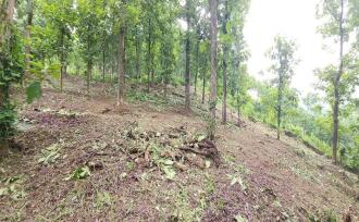 Residential Land for Sale in Kottayam, Mundakayam, Mundakayam, Mundakayam-Koottickal-Vagamon road