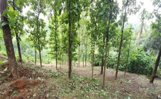 Residential Land for Sale in Kottayam, Mundakayam, Mundakayam, Mundakayam-Koottickal-Vagamon road
