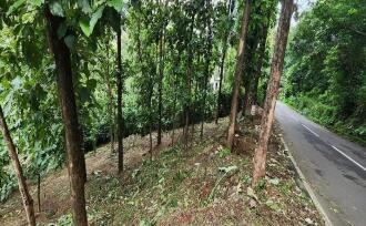 Residential Land for Sale in Kottayam, Mundakayam, Mundakayam, Mundakayam-Koottickal-Vagamon road