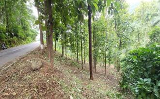 Residential Land for Sale in Kottayam, Mundakayam, Mundakayam, Mundakayam-Koottickal-Vagamon road