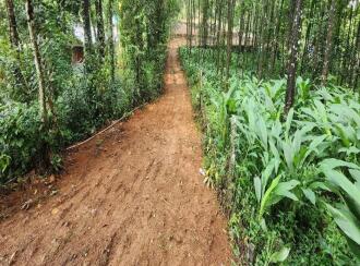 വാസയോഗ്യമായ ഭൂമി വില്പനയ്ക്ക് കോട്ടയം, Pala, Cherpunkal, Located near gayathri school , At Thekkumury Kara, Puliyannoor Village, Mutholy Panchayat, Near Cherpunkal, Pala, Kottayam
