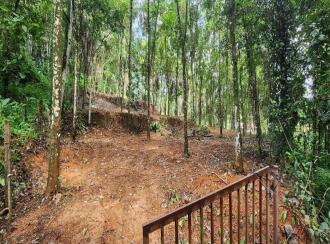 വാസയോഗ്യമായ ഭൂമി വില്പനയ്ക്ക് കോട്ടയം, Pala, Cherpunkal, Located near gayathri school , At Thekkumury Kara, Puliyannoor Village, Mutholy Panchayat, Near Cherpunkal, Pala, Kottayam