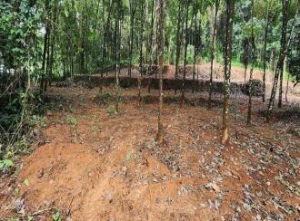 വാസയോഗ്യമായ ഭൂമി വില്പനയ്ക്ക് കോട്ടയം, Pala, Cherpunkal, Located near gayathri school , At Thekkumury Kara, Puliyannoor Village, Mutholy Panchayat, Near Cherpunkal, Pala, Kottayam