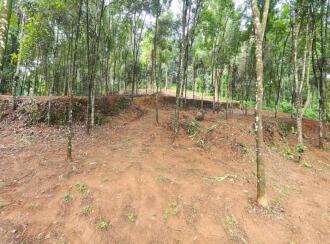വാസയോഗ്യമായ ഭൂമി വില്പനയ്ക്ക് കോട്ടയം, Pala, Cherpunkal, Located near gayathri school , At Thekkumury Kara, Puliyannoor Village, Mutholy Panchayat, Near Cherpunkal, Pala, Kottayam