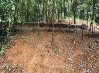 വാസയോഗ്യമായ ഭൂമി വില്പനയ്ക്ക് കോട്ടയം, Pala, Cherpunkal, Located near gayathri school , At Thekkumury Kara, Puliyannoor Village, Mutholy Panchayat, Near Cherpunkal, Pala, Kottayam