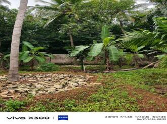 Residential Land for Sale in Palakkad, Mannarkkad, Pottassery, Near Govt Higher Secondary School