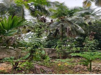Residential Land for Sale in Palakkad, Mannarkkad, Pottassery, Near Govt Higher Secondary School