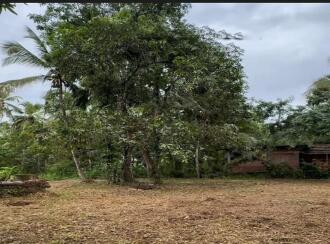 Residential Land for Sale in Kozhikode, Vatakara, Orkatteri, Near Nanma Oil Mill