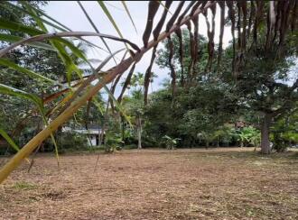 Residential Land for Sale in Kozhikode, Vatakara, Orkatteri, Near Nanma Oil Mill